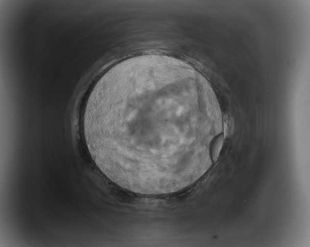 X0000087530339200705251704