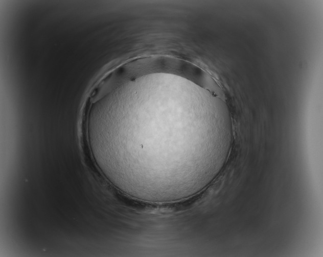 X0000087530340200705251704