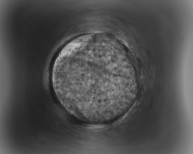 X0000087530342200705251704