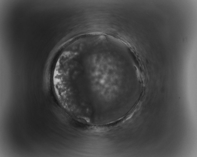 X0000087530343200705251704