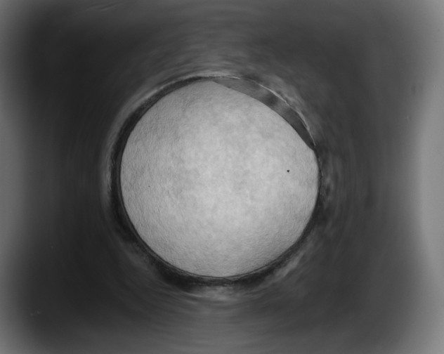 X0000087530344200705251704