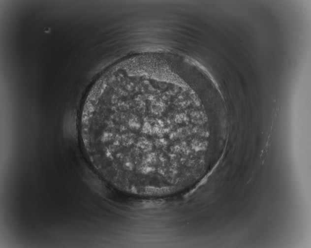 X0000087530345200705251704