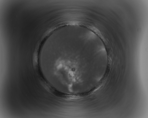 X0000087530347200705251704