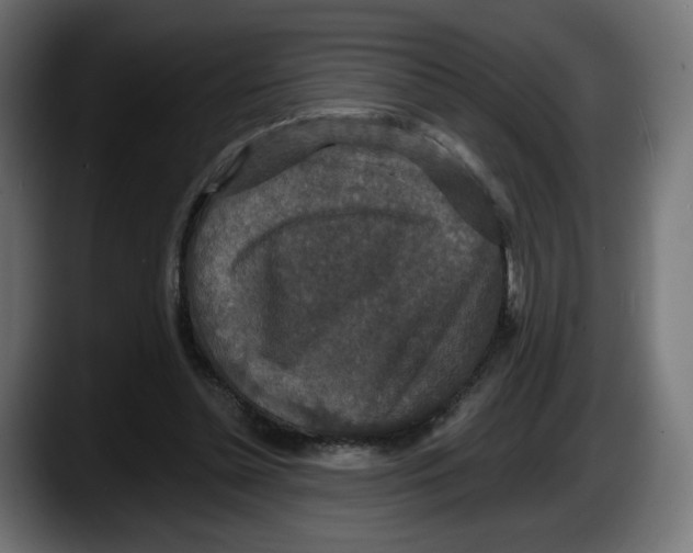 X0000087530348200705251704