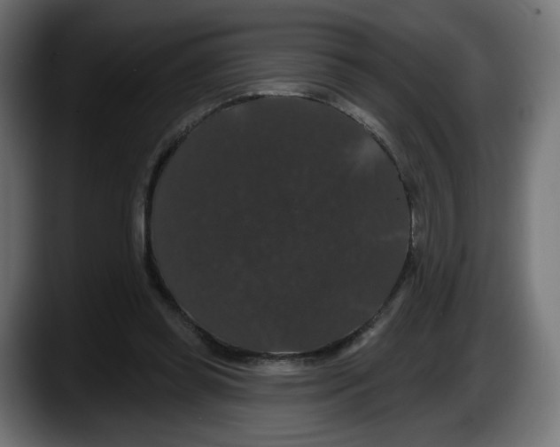 X0000087530349200705251704