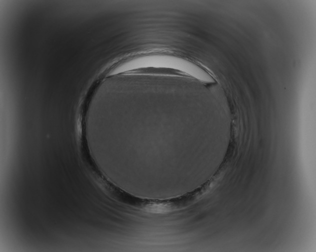 X0000087530350200705251704