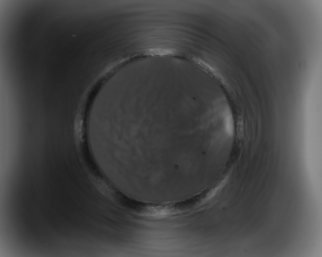 X0000087530351200705251704