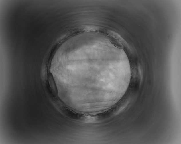 X0000087530352200705251704