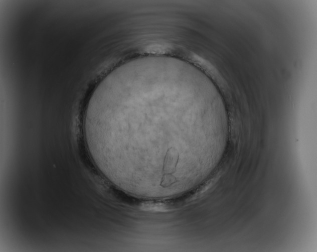 X0000087530354200705251704