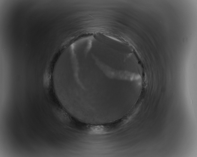 X0000087530355200705251704