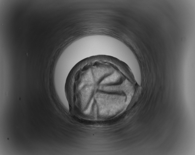 X0000087530356200705251704