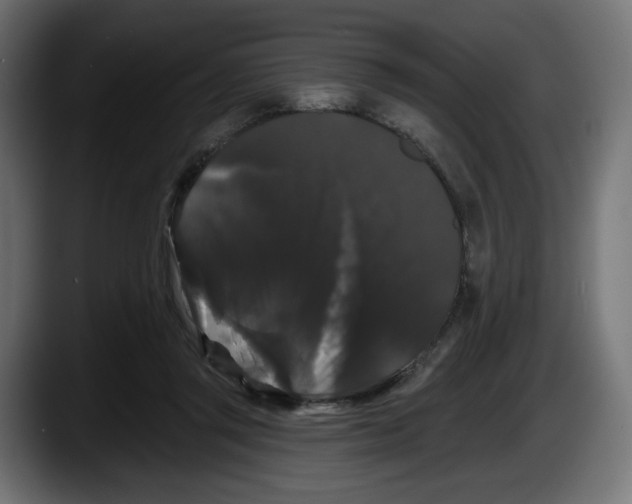 X0000087530357200705251704