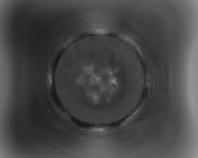 X0000087530358200705251704
