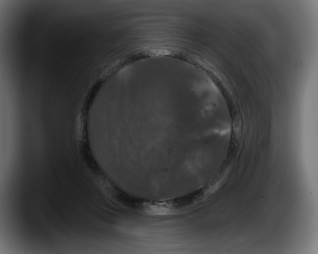 X0000087530359200705251704