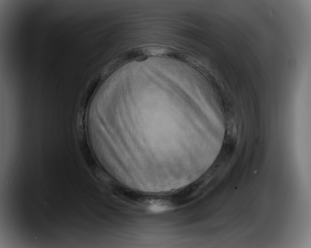 X0000087530360200705251704