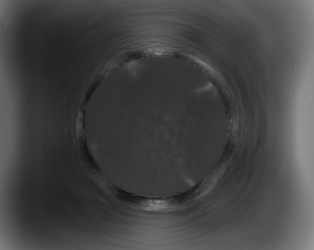X0000087530361200705251704