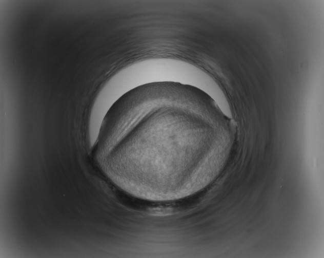 X0000087530362200705251704