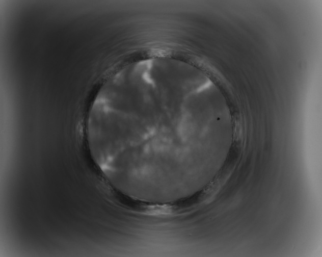 X0000087530363200705251704