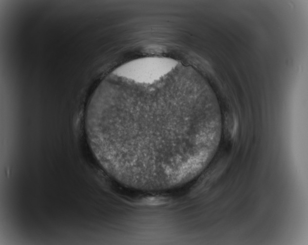 X0000087530364200705251704