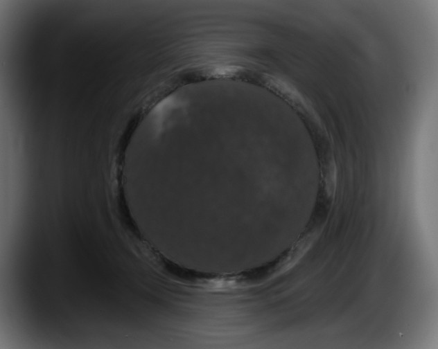 X0000087530366200705251704
