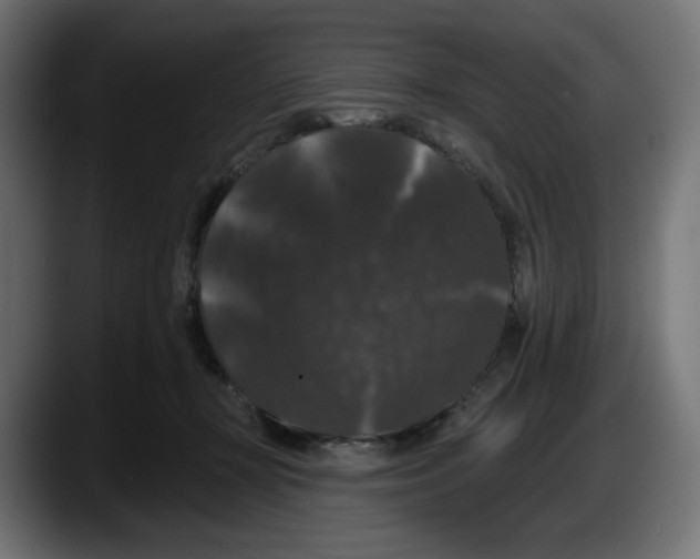 X0000087530367200705251704