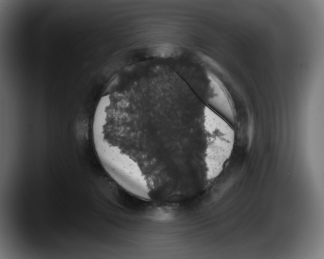 X0000087530368200705251704