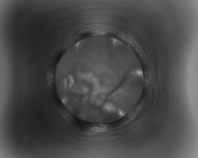 X0000087530369200705251704