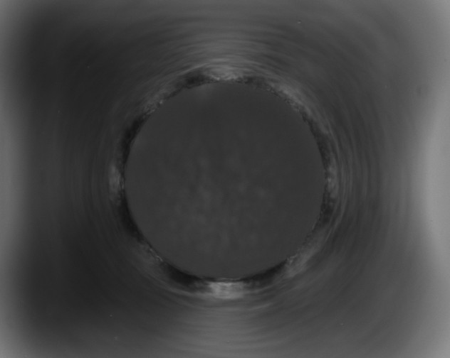 X0000087530371200705251704