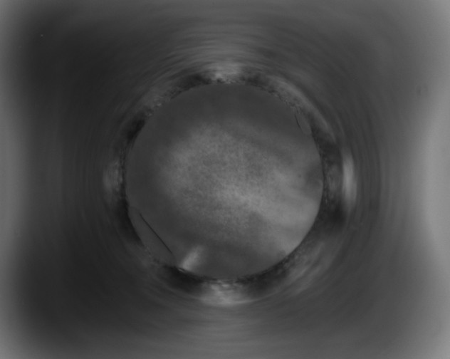 X0000087530372200705251704