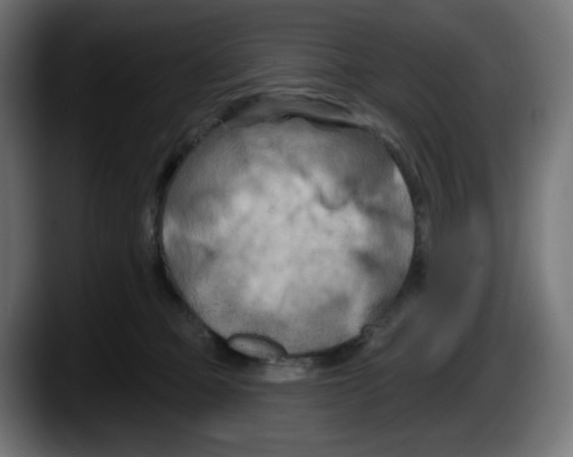 X0000087530373200705251704