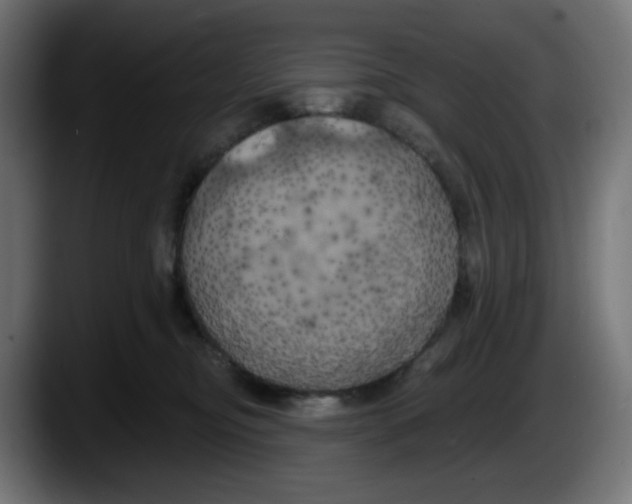 X0000087530374200705251704