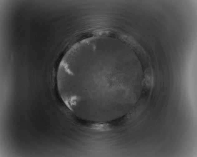 X0000087530375200705251704