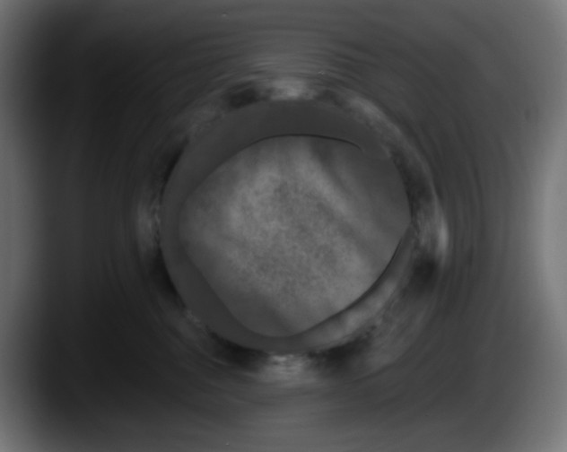 X0000087530376200705251704