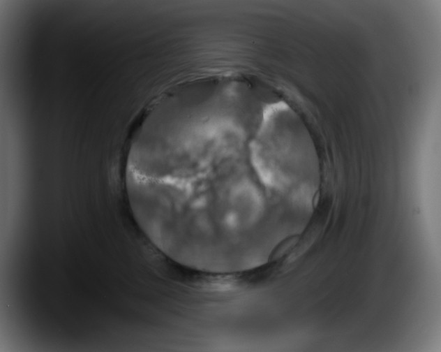 X0000087530377200705251704