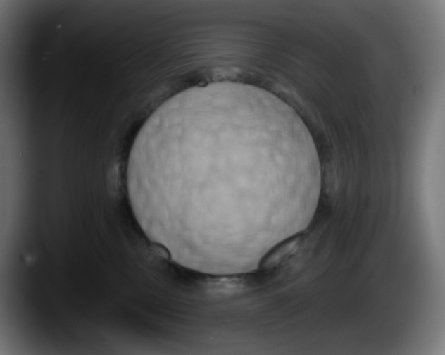 X0000087530378200705251704