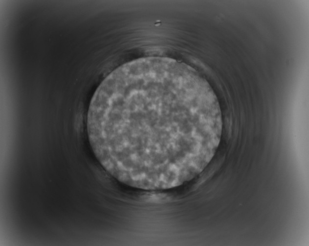 X0000087530379200705251704