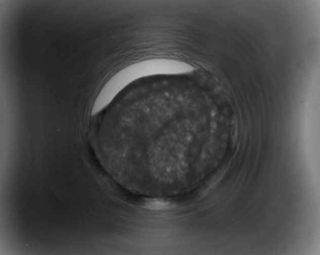 X0000087530380200705251704
