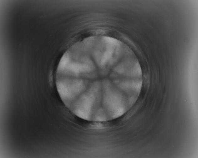 X0000087530381200705251704