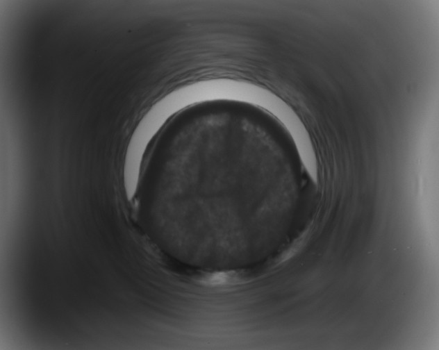 X0000087530382200705251704