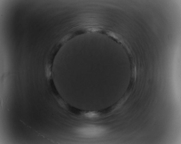 X0000087530383200705251704