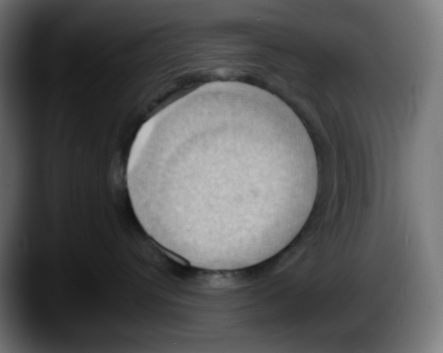 X0000087530384200705251704