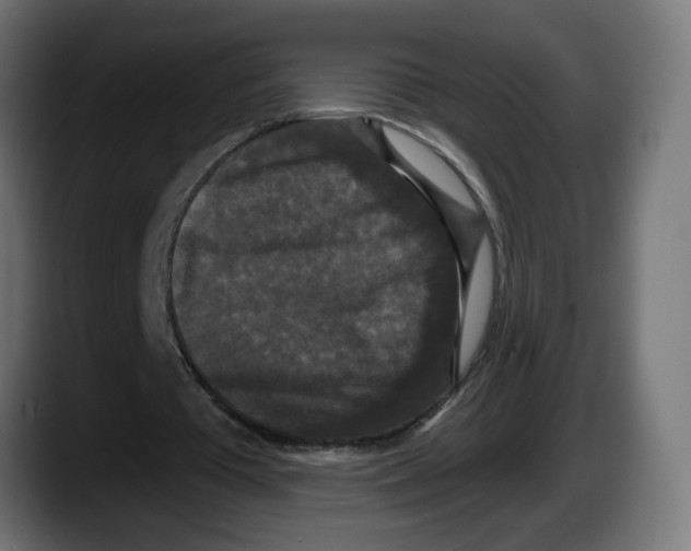 X0000087530385200705251704