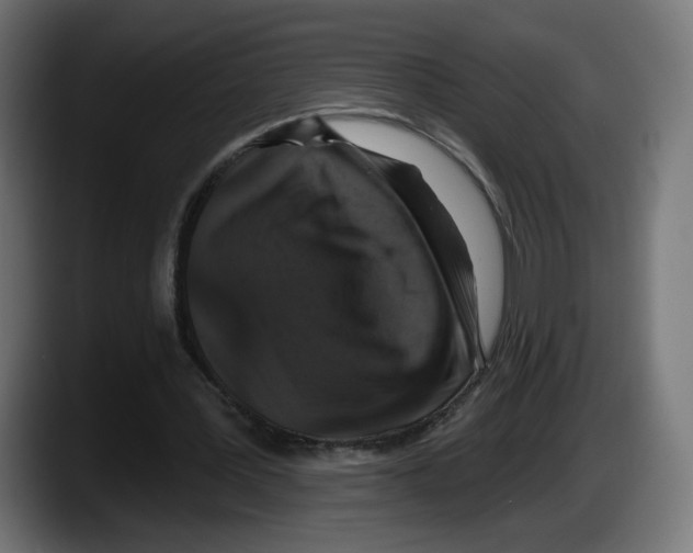 X0000087530387200705251704