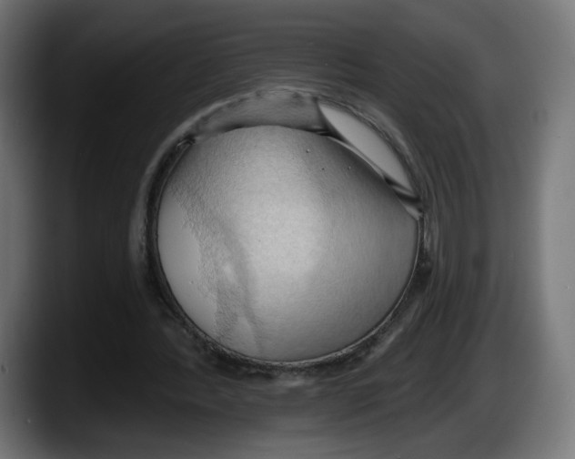 X0000087530388200705251704
