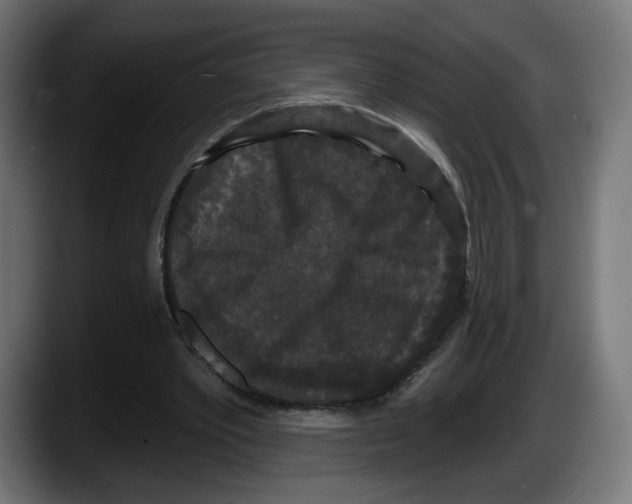 X0000087530389200705251704