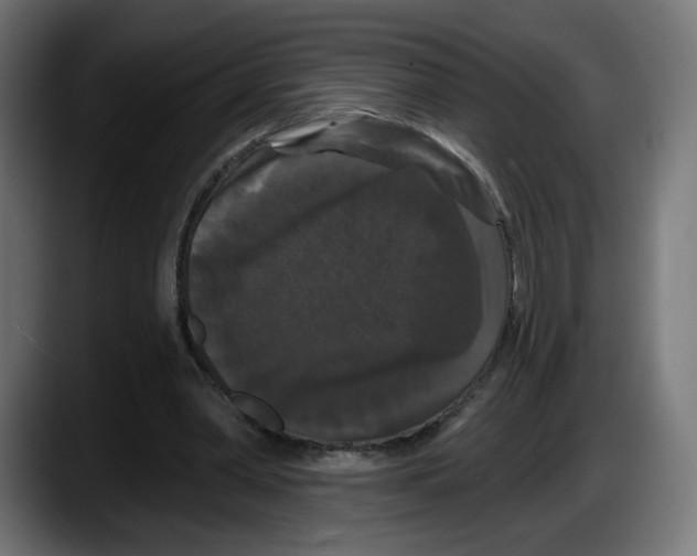 X0000087530390200705251704
