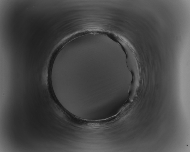 X0000087530391200705251704