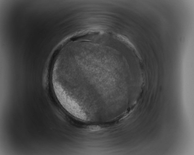 X0000087530392200705251704
