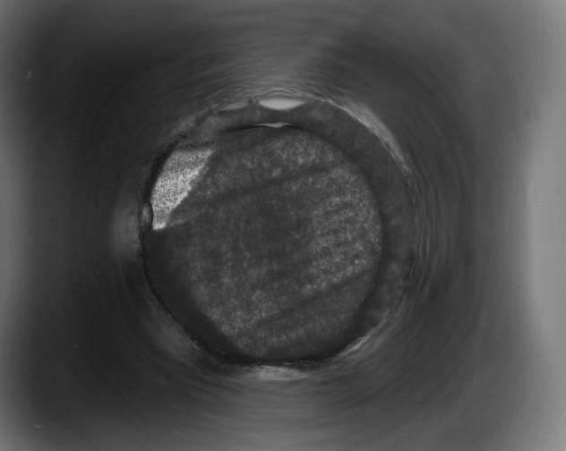 X0000087530393200705251704