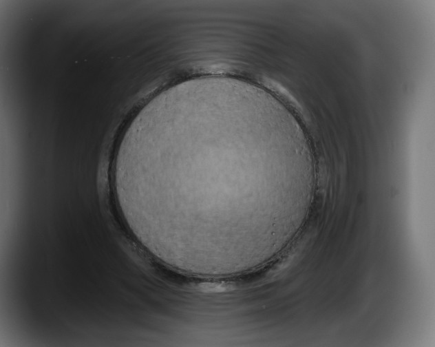 X0000087530394200705251704